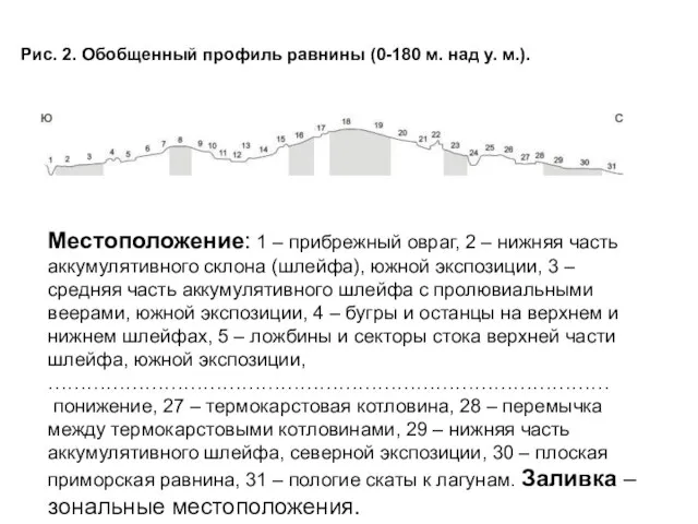 Рис. 2. Обобщенный профиль равнины (0-180 м. над у. м.). Местоположение: 1