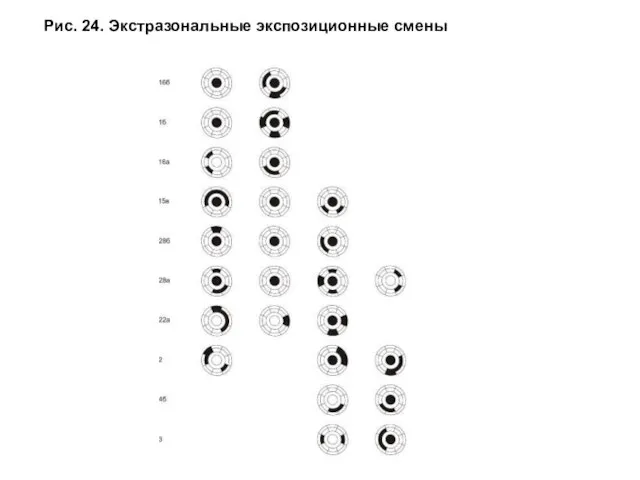 Рис. 24. Экстразональные экспозиционные смены