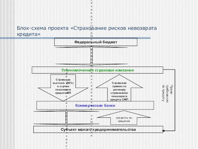 Федеральный бюджет Уполномоченная страховая компания Страховая выплата (50%) в случае невозврата кредита