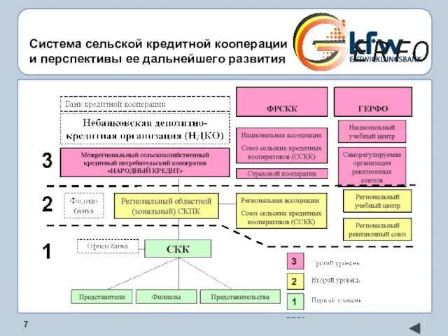 Система сельской кредитной кооперации и перспективы ее дальнейшего развития