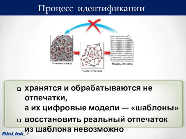 Процесс идентификации хранятся и обрабатываются не отпечатки, а их цифровые модели —