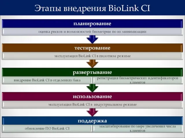 Этапы внедрения BioLink CI