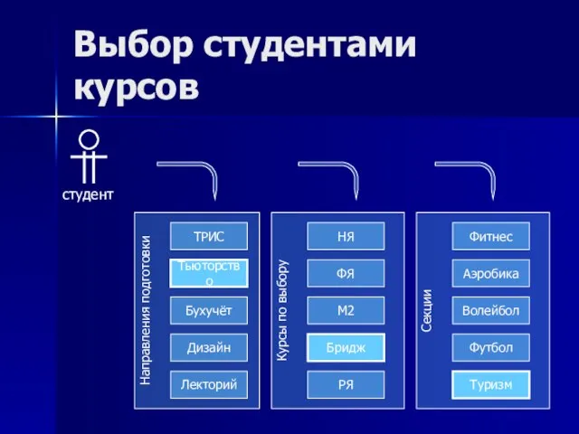 Выбор студентами курсов