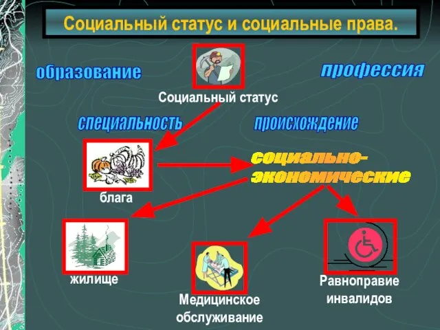 Социальный статус и социальные права. образование специальность происхождение профессия