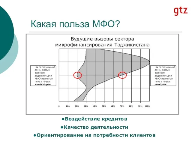 Какая польза МФО? Будущие вызовы сектора микрофинансирования Таджикистана Воздействие кредитов Качество деятельности