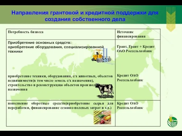 Направления грантовой и кредитной поддержки для создания собственного дела