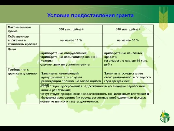 Условия предоставления гранта