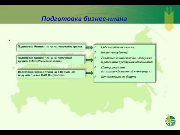 Подготовка бизнес-плана / Подготовка бизнес-плана на получение кредита ОАО «Россельхозбанк» Подготовка бизнес-плана