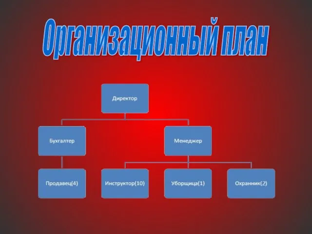 Организационный план