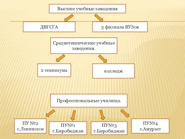 Высшие учебные заведения ДВГСГА 3 филиала ВУЗов Среднетехнические учебные заведения. 2 техникума