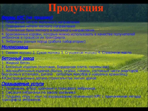 Продукция Фермы КРС (на продажу) 1. Племенные нетели молочного направления 2. Племенные