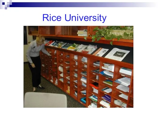 Rice University