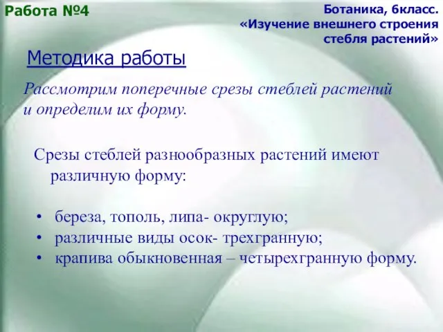 Работа №4 Ботаника, 6класс. «Изучение внешнего строения стебля растений» Методика работы Рассмотрим