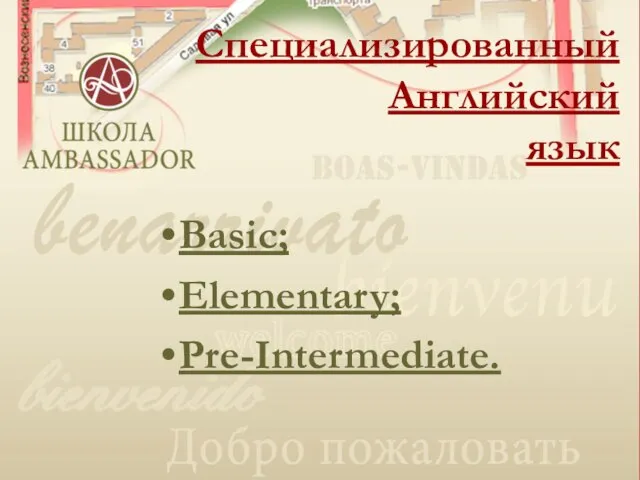 Basic; Elementary; Pre-Intermediate. Специализированный Английский язык