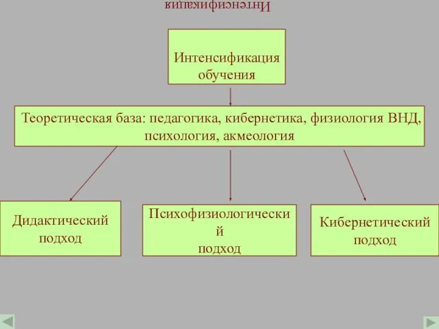 Интенсификация обучения Интенсификация обучения Теоретическая база: педагогика, кибернетика, физиология ВНД, психология, акмеология