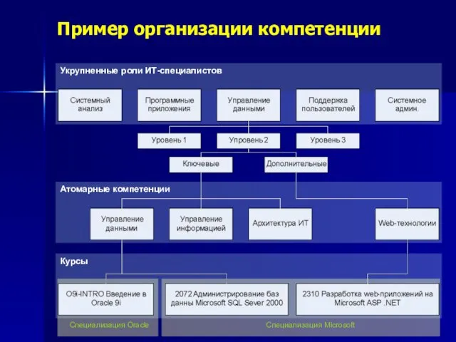 Пример организации компетенции Укрупненные роли ИТ-специалистов Атомарные компетенции Курсы Специализация Oracle Специализация Microsoft