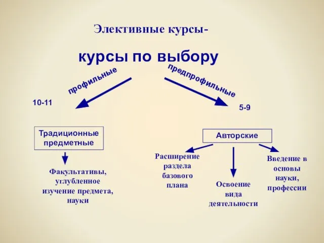 Элективные курсы- курсы по выбору Традиционные предметные Авторские Факультативы, углубленное изучение предмета,