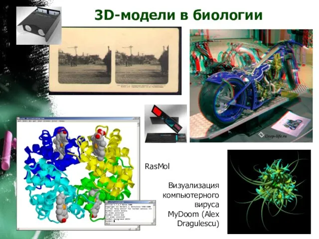 3D-модели в биологии RasMol Визуализация компьютерного вируса MyDoom (Alex Dragulescu)