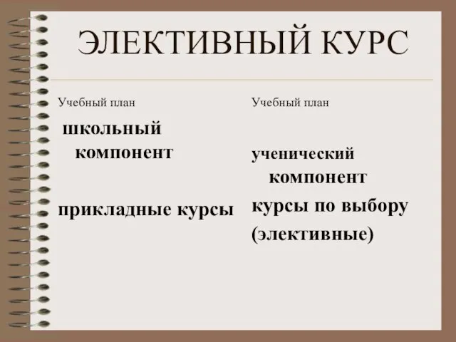 ЭЛЕКТИВНЫЙ КУРС Учебный план школьный компонент прикладные курсы Учебный план ученический компонент курсы по выбору (элективные)