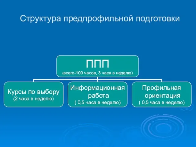 Структура предпрофильной подготовки