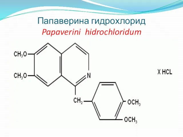 Папаверина гидрохлорид Papaverini hidrochloridum