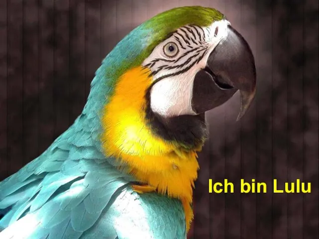 Ich bin Lulu