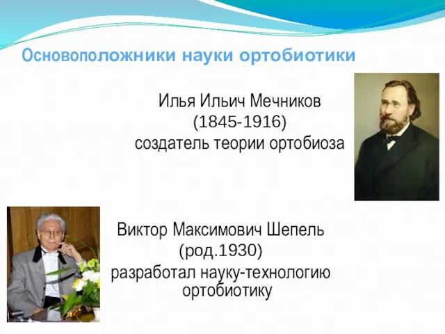 Илья Ильич Мечников (1845-1916) создатель теории ортобиоза Виктор Максимович Шепель (род.1930) разработал