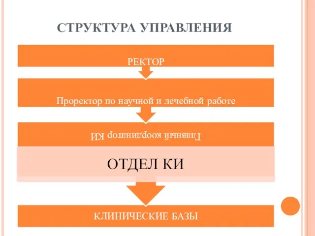 СТРУКТУРА УПРАВЛЕНИЯ