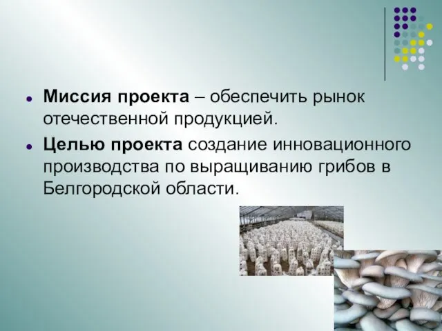 Миссия проекта – обеспечить рынок отечественной продукцией. Целью проекта создание инновационного производства