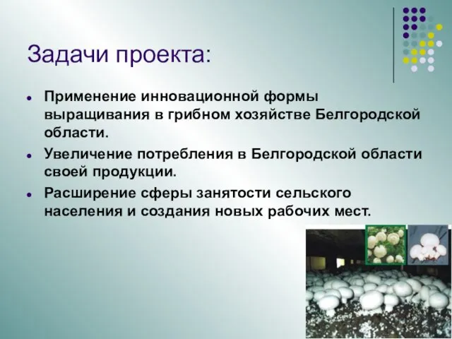 Применение инновационной формы выращивания в грибном хозяйстве Белгородской области. Увеличение потребления в