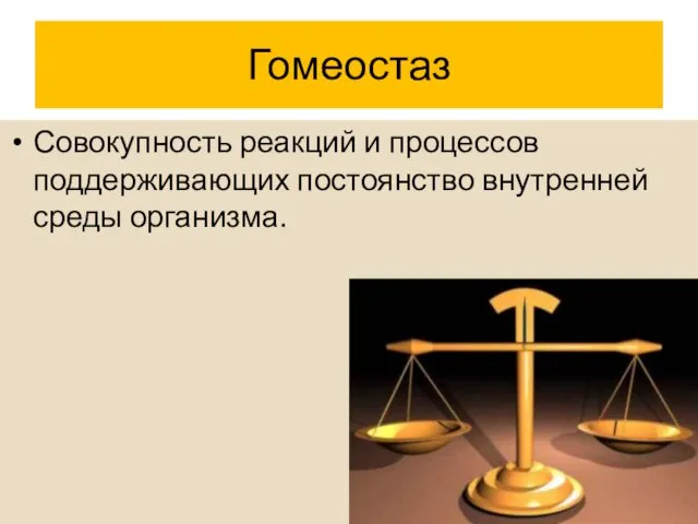 Гомеостаз Совокупность реакций и процессов поддерживающих постоянство внутренней среды организма.