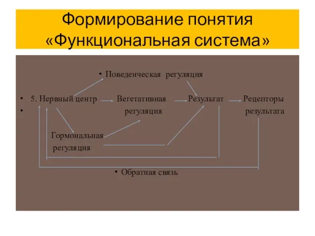 Формирование понятия «Функциональная система» Поведенческая регуляция 5. Нервный центр Вегетативная Результат Рецепторы