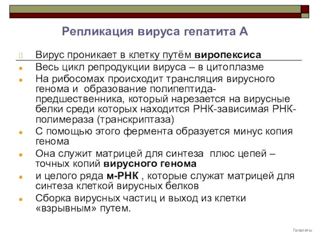 Гепатиты Вирус проникает в клетку путём виропексиса Весь цикл репродукции вируса –