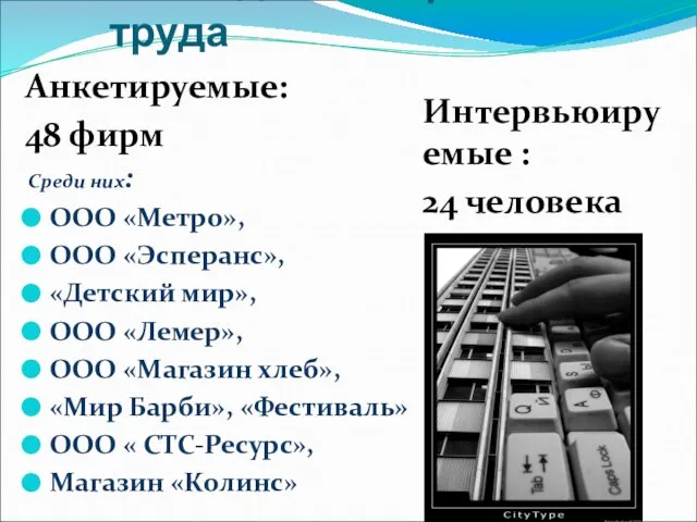 Исследование рынка труда Анкетируемые: 48 фирм Интервьюируемые : 24 человека Среди них: