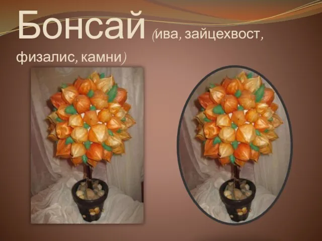 Бонсай (ива, зайцехвост, физалис, камни)