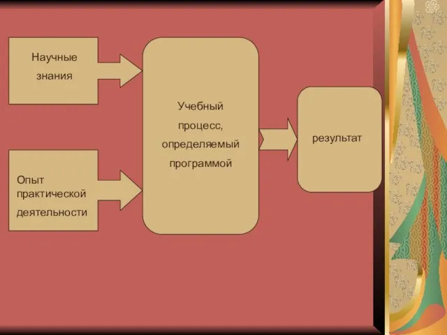 Научные знания Опыт практической деятельности Учебный процесс, определяемый программой результат