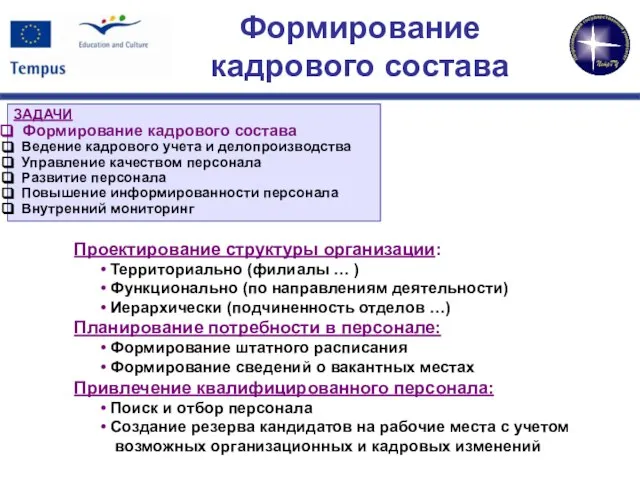 Формирование кадрового состава Проектирование структуры организации: Территориально (филиалы … ) Функционально (по