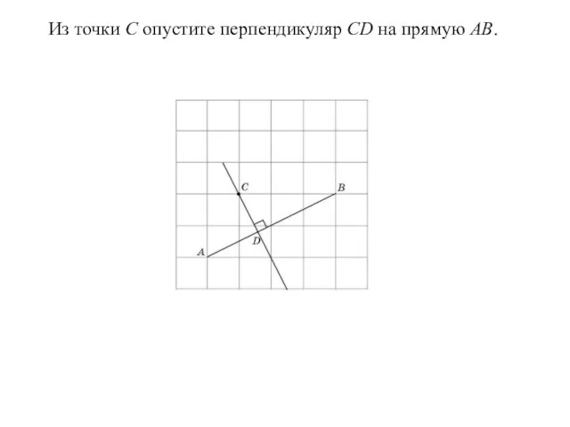 Из точки C опустите перпендикуляр CD на прямую AB.