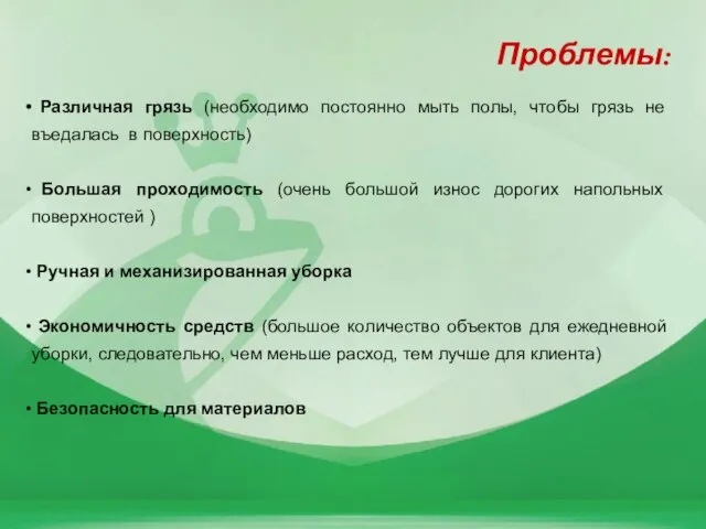 Проблемы: Различная грязь (необходимо постоянно мыть полы, чтобы грязь не въедалась в