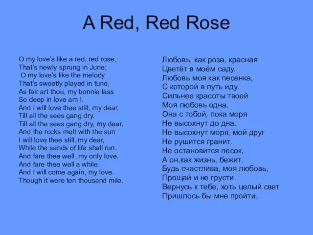 A Red, Red Rose O my love’s like a red, red rose,