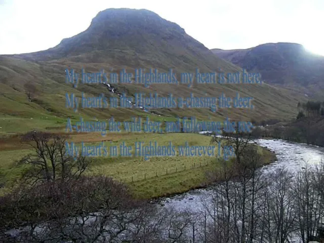 My heart's in the Highlands, my heart is not here, My heart's