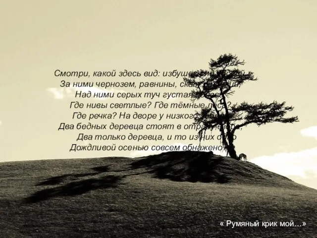 Смотри, какой здесь вид: избушек ряд убогий, За ними чернозем, равнины, скат