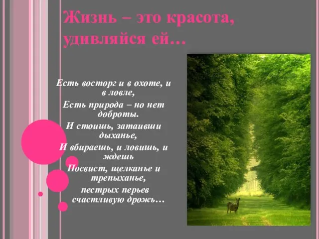 Жизнь – это красота, удивляйся ей… Есть восторг и в охоте, и