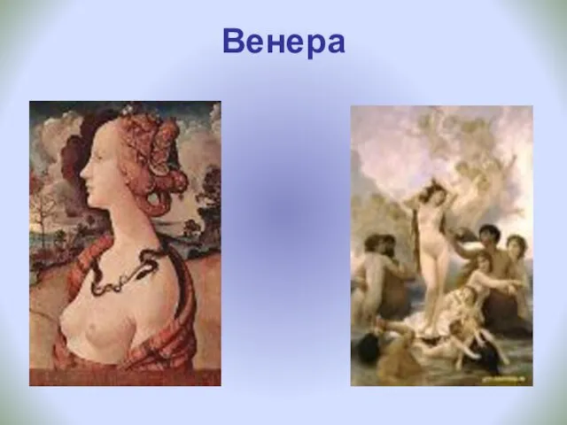 Венера