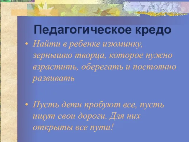 Педагогическое кредо Найти в ребенке изюминку, зернышко творца, которое нужно взрастить, оберегать