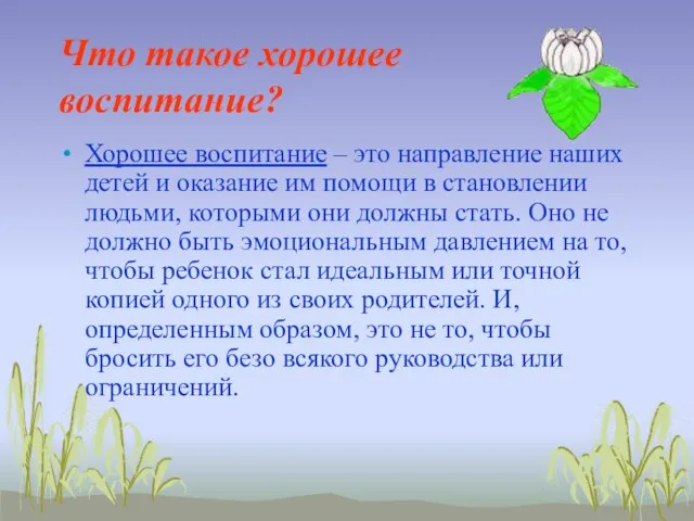 Что такое хорошее воспитание? Хорошее воспитание – это направление наших детей и