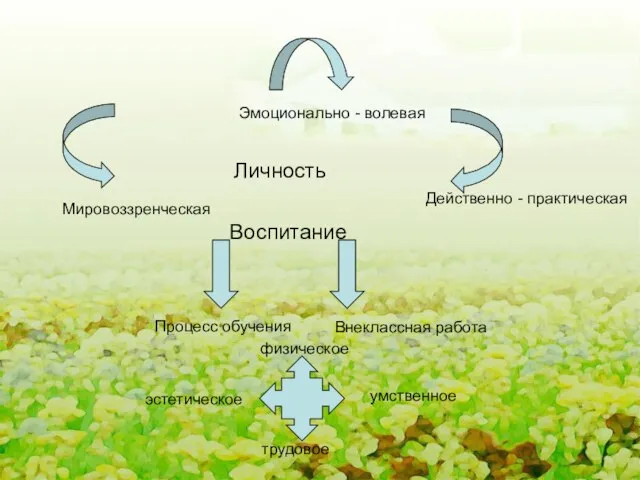 Воспитание Процесс обучения Внеклассная работа Мировоззренческая Эмоционально - волевая Действенно - практическая