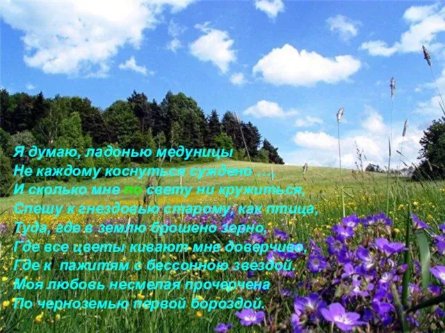 Я думаю, ладонью медуницы Не каждому коснуться суждено …, И сколько мне