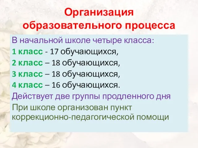 Организация образовательного процесса В начальной школе четыре класса: 1 класс - 17