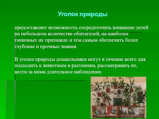 Уголок природы предоставляет возможность сосредоточить внимание детей на небольшом количестве обитателей, на